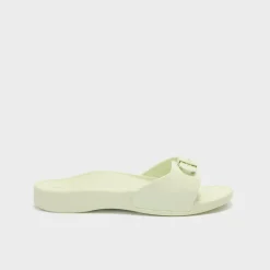 scholl sun
