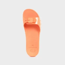 scholl sun