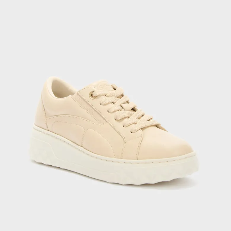 urban elastic