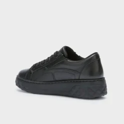 urban elastic